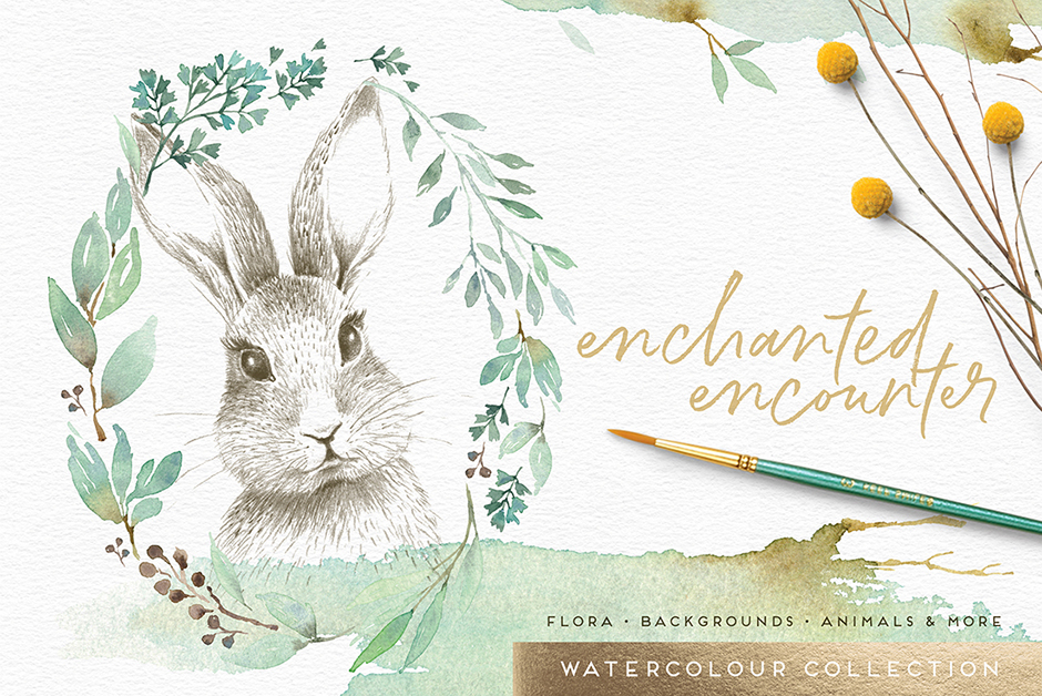 Enchanted animals & watercolour collection