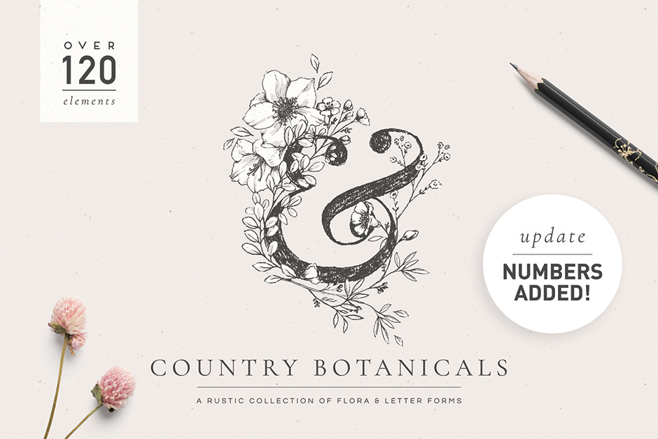 Rustic Country Botanical Illustrations & Monograms